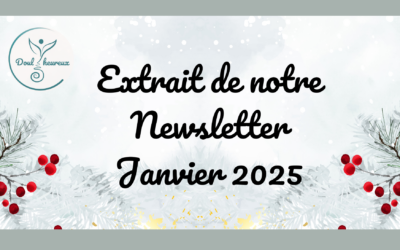 Nos ambitions pour 2025 (Extrait de notre Newsletter de Janv. 2025)